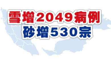 Photo of 雪增2049病例   砂增530宗