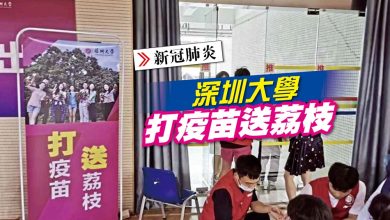 Photo of 深圳大學打疫苗送荔枝