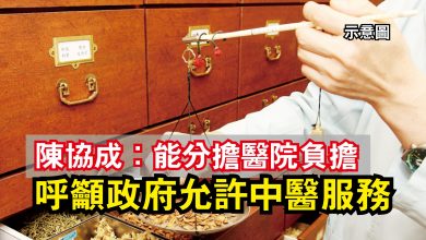 Photo of 陳協成：能分擔醫院負擔  呼籲政府允許中醫服務