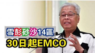 Photo of 雪彭砂沙14區  30日起EMCO
