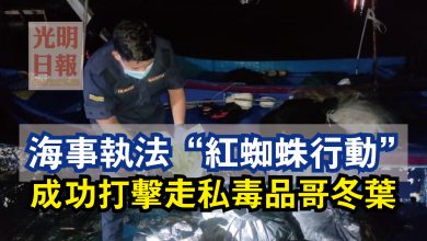 Photo of 海事執法“紅蜘蛛行動”  成功打擊走私毒品哥冬葉