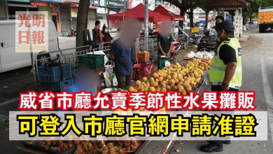Photo of 威省市廳允賣季節性水果攤販  可登入市廳官網申請准證