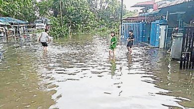 Photo of 古來沙威狂風暴雨 多棵樹倒砸車淹水