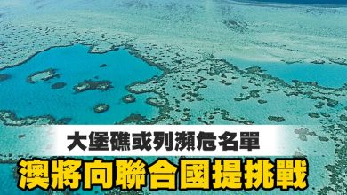 Photo of 大堡礁或列瀕危名單  澳將向聯合國提挑戰