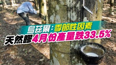 Photo of 烏茲爾：季節性因素 天然膠4月份產量跌33.5%