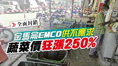 Photo of 金馬侖emco供不應求-蔬菜價狂漲250%