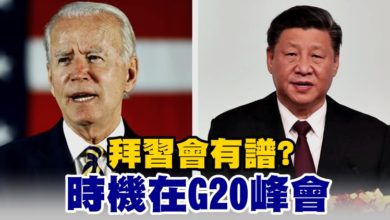 Photo of 拜習會有譜? 時機在G20峰會