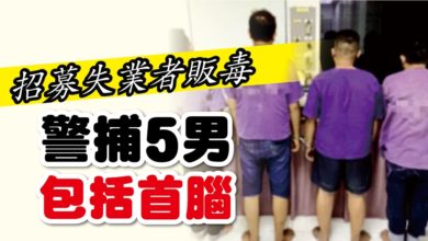 Photo of 招募失業者販毒 警捕5男包括首腦