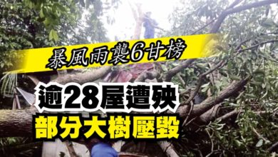 Photo of 暴風雨襲6甘榜 逾28屋遭殃 部分大樹壓毀