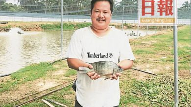 Photo of 水產養殖業者改策略 疫下少餵魚蝦減成本