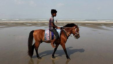 Photo of 孟加拉度假區慘淡  1個月21馬餓死