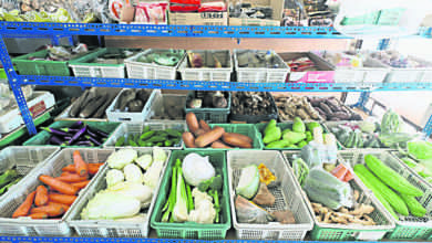 Photo of 金馬崙農產品恢復運輸 蔬菜批發價降逾1元