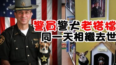 Photo of 警員警犬老搭檔  同一天相繼去世