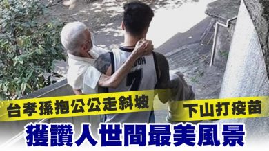 Photo of 台孝孫抱公公走300米斜坡下山打疫苗 獲讚人世間最美風景