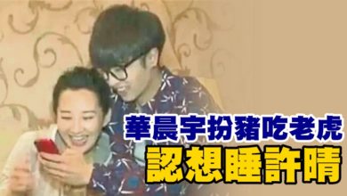 Photo of 31愛52 華晨宇扮豬吃老虎 認想睡許晴