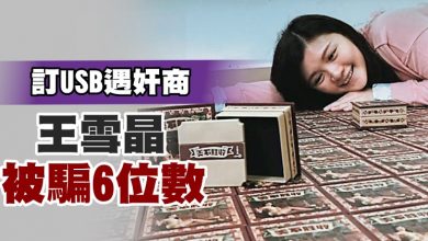 Photo of 訂USB遇奸商 王雪晶被騙6位數