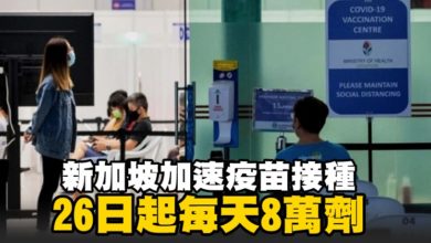 Photo of 新加坡加速疫苗接種  26日起每天8萬劑