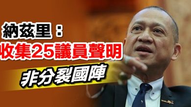 Photo of 納茲里：收集25議員聲明   非分裂國陣