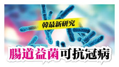 Photo of 韓最新研究 腸道益菌可抗冠病