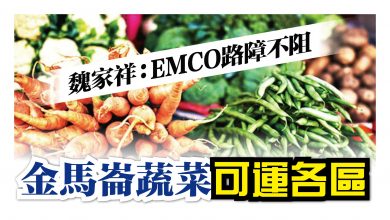 Photo of 魏家祥：EMCO路障不阻 金馬崙蔬菜可運各區