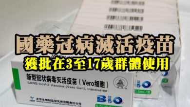 Photo of 國藥冠病滅活疫苗  獲批在3至17歲群體使用