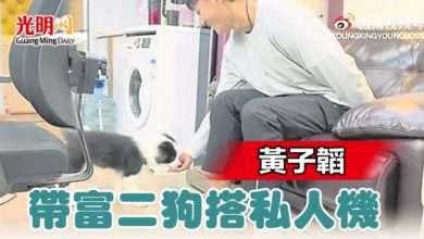 Photo of 黃子韜帶富二狗搭私人機