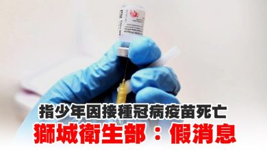 Photo of 指少年因接種冠病疫苗死亡 獅城衛生部：假消息