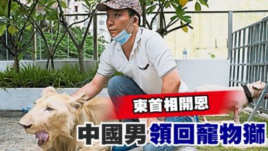 Photo of 柬首相開恩 中國男領回寵物獅