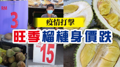 Photo of 疫情打擊 旺季榴槤身價跌