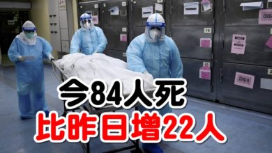 Photo of 今84人死  比昨日增22人