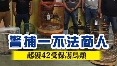 Photo of 警捕一不法商人   起獲42受保護鳥類