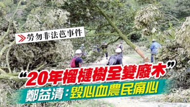 Photo of 【勞勿非法芭事件】“20年榴槤樹全變廢木” 鄭益清：毀心血農民痛心