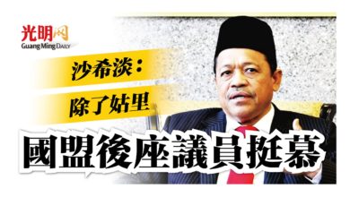 Photo of 沙希淡：除了姑里 國盟後座議員挺慕