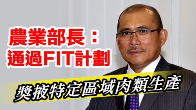 Photo of 農業部長:通過FIT計劃 獎掖特定區域肉類生產