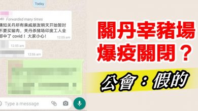 Photo of 關丹宰豬場爆疫關閉？公會：假的