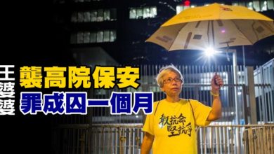 Photo of “王婆婆”襲高院保安罪成囚一個月