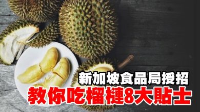 Photo of 新加坡食品局授招 教你吃榴梿8大貼士