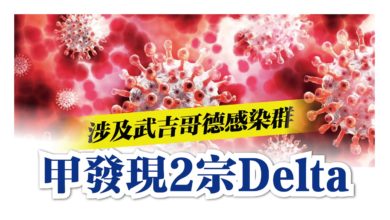 Photo of 涉及武吉哥德感染群 甲發現2宗Delta
