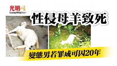 Photo of 性侵母羊致死  變態男若罪成可囚20年