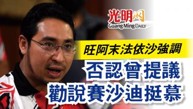 Photo of 旺阿末法依沙強調  否認曾提議勸說賽沙迪挺慕