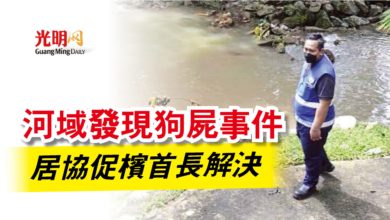 Photo of 河域發現狗屍事件 居協促檳首長解決