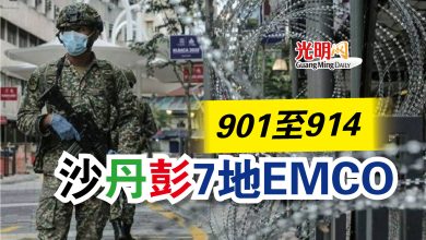 Photo of 901至914  沙丹彭7地EMCO