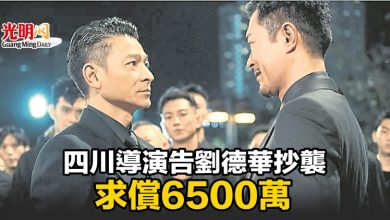 Photo of 四川導演告劉德華抄襲 求償6500萬