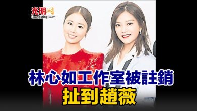 Photo of 林心如工作室被註銷 扯到趙薇