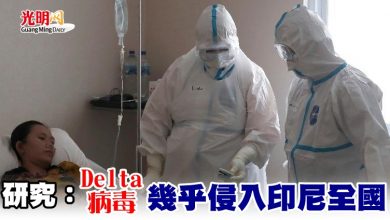 Photo of 研究：Delta病毒幾乎侵入印尼全國