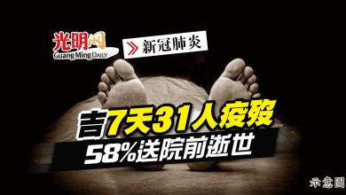 Photo of 吉7天31人疫歿 58%送院前逝世