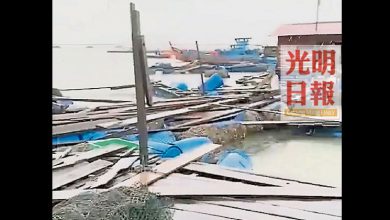 Photo of 暴風雨襲高淵港口 摧毀逾百養魚場