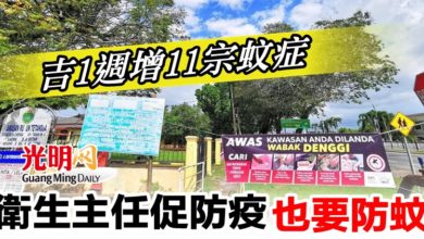Photo of 1週新增11宗蚊症   吉衛生主任促防疫也要防蚊