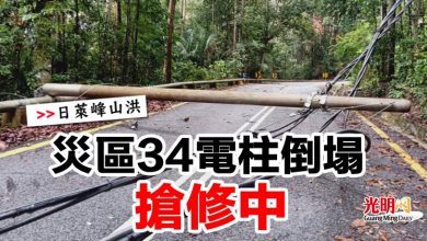 Photo of 【日萊峰山洪】 災區34電柱倒塌  搶修中