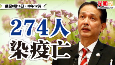 Photo of 274人染疫亡